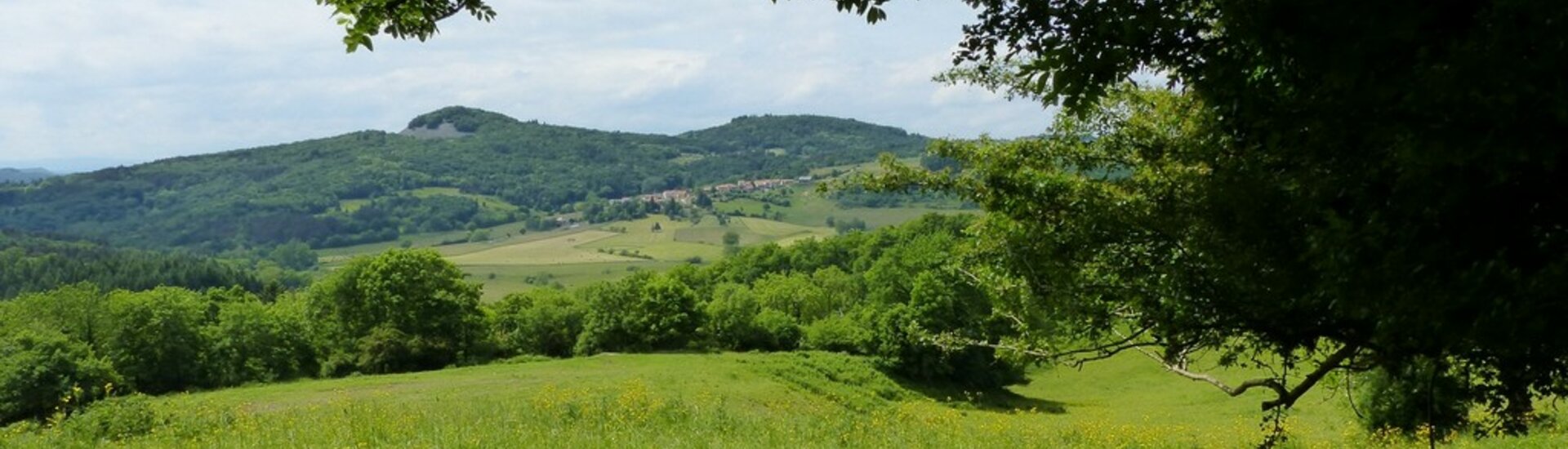 Saint Jean des Ollières - Puy-de-Dôme (63)