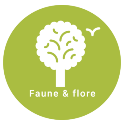 Faune & Flore