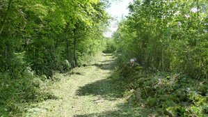 Le sentier des piqueurs